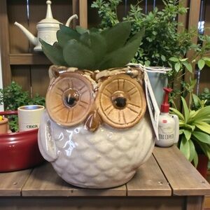 NWT Ceramic Owl Planter with Faux Succulent